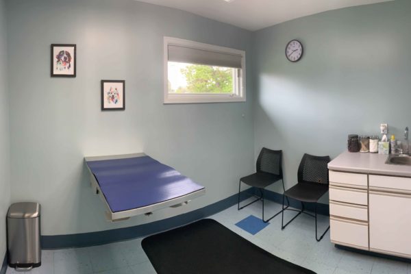 Exam Room 3